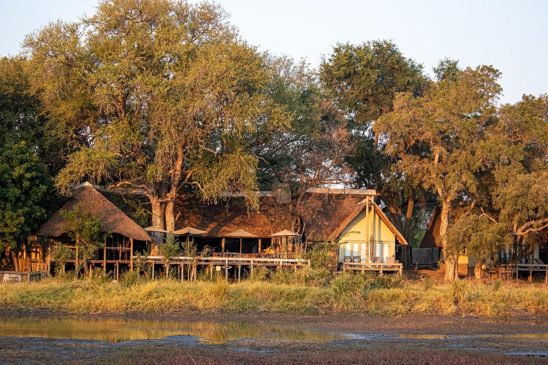 Simbavati River Lodge Timbavati Game Reserve Bagian luar foto