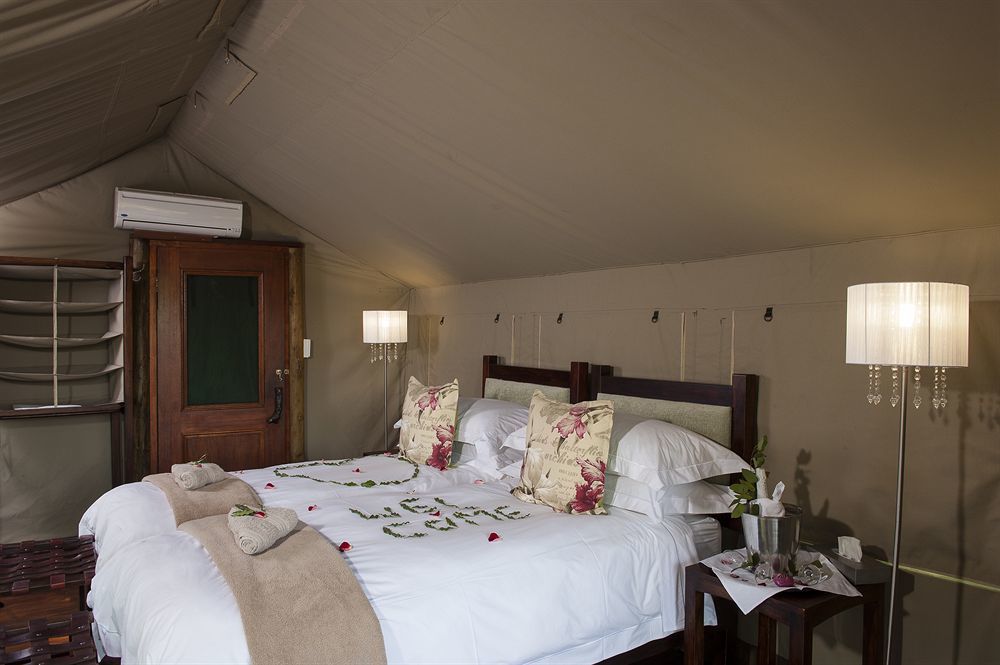 Simbavati River Lodge Timbavati Game Reserve Bagian luar foto