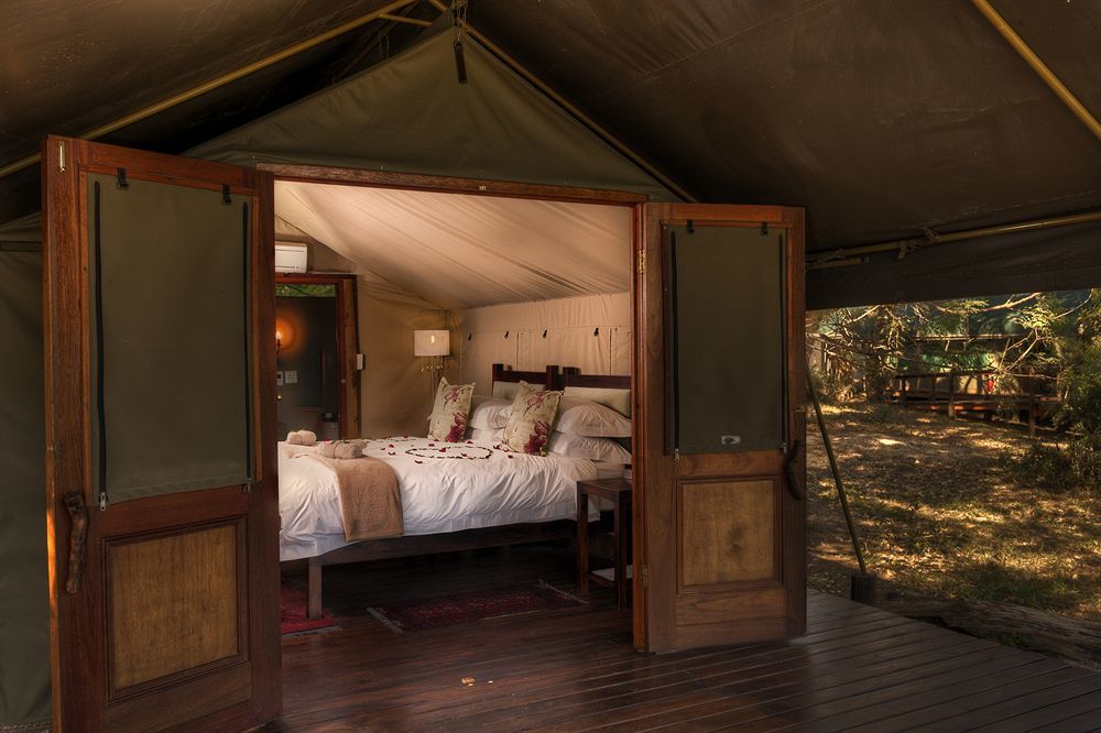 Simbavati River Lodge Timbavati Game Reserve Bagian luar foto